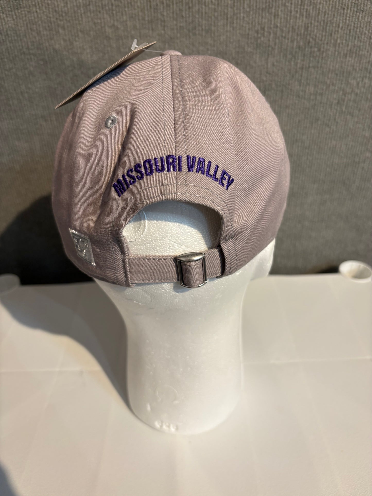 The Game Viking Dad Cap
