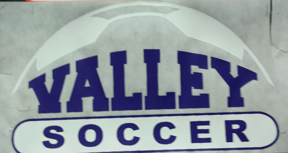 #53B Print Transfer Soccer