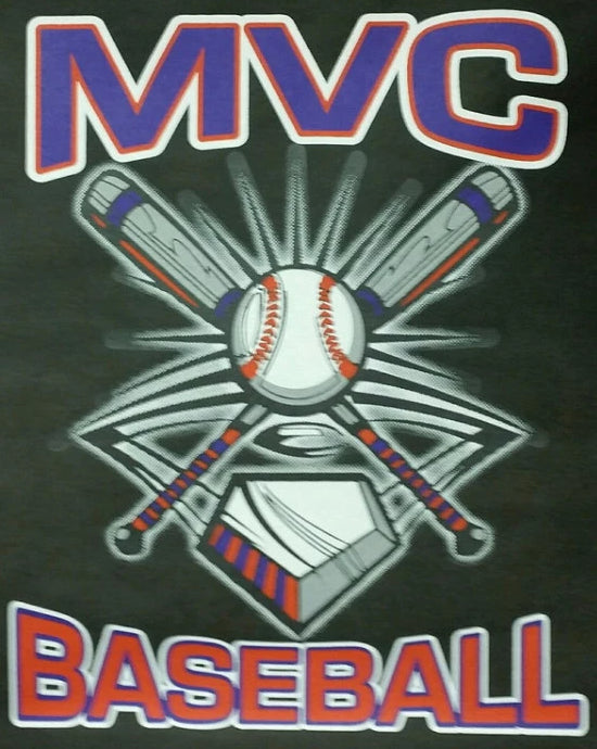 #37 Print Transfer Baseball - Viking Athletic Goods