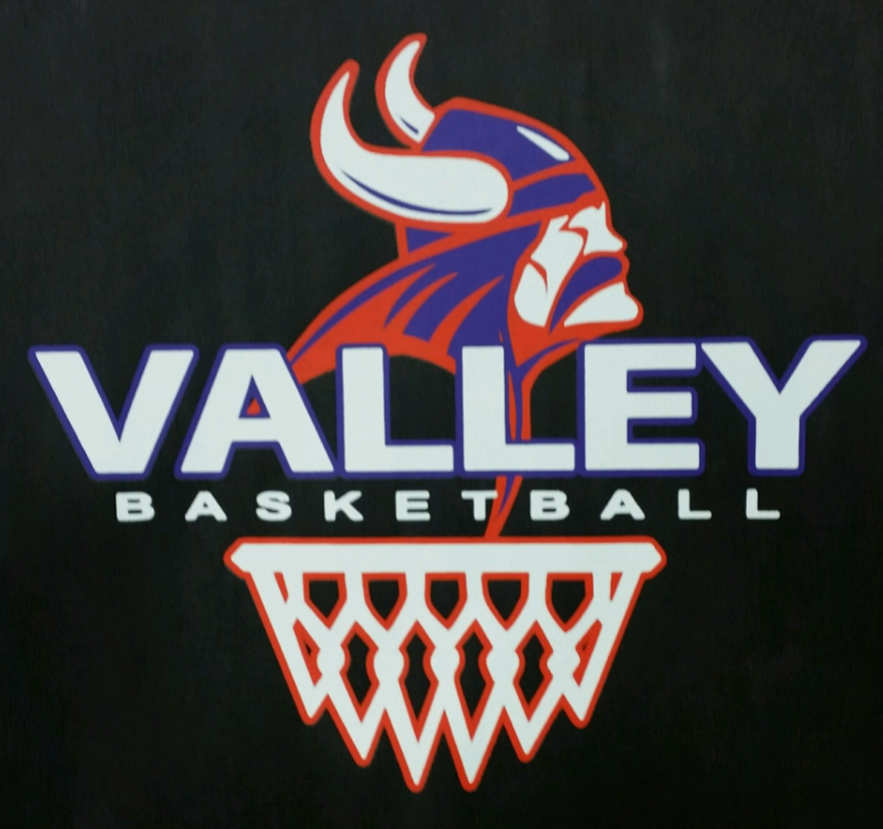 #17 Print Transfer Basketball