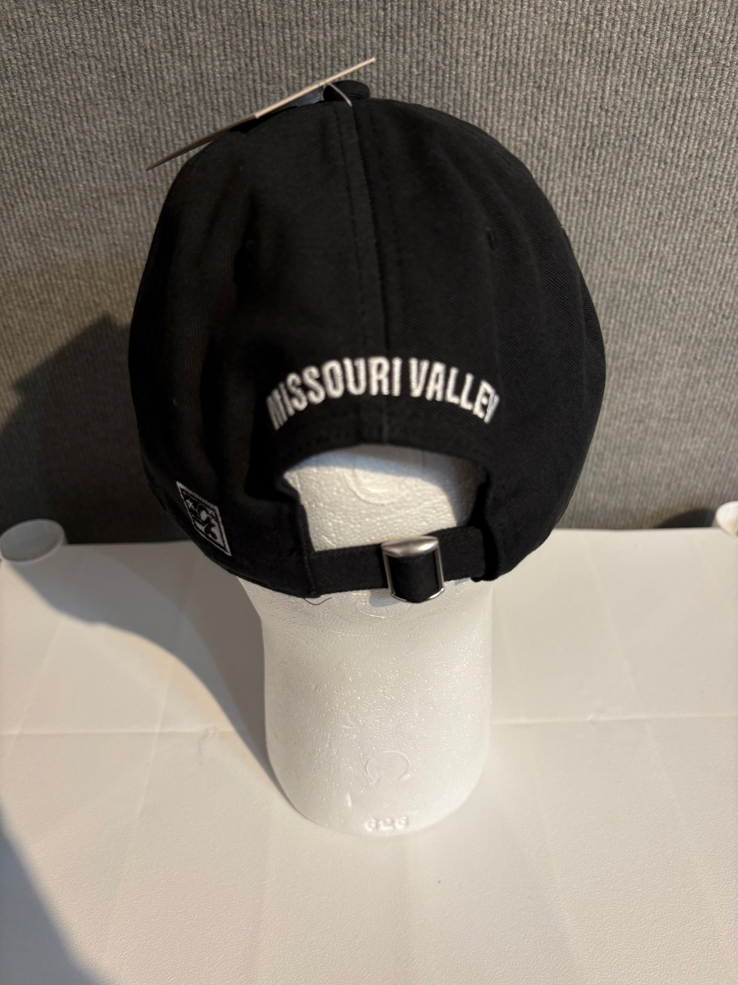 The Game Viking Dad Cap