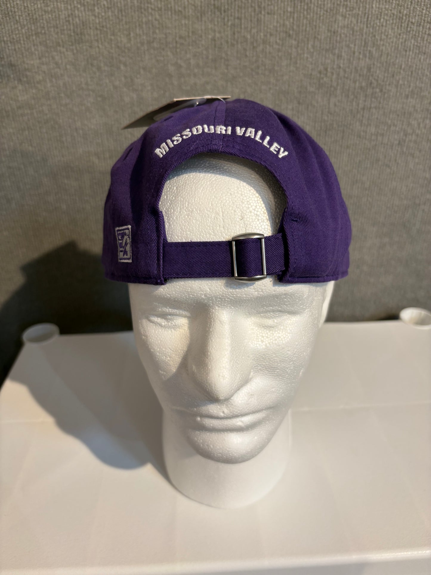 The Game Viking Dad Cap