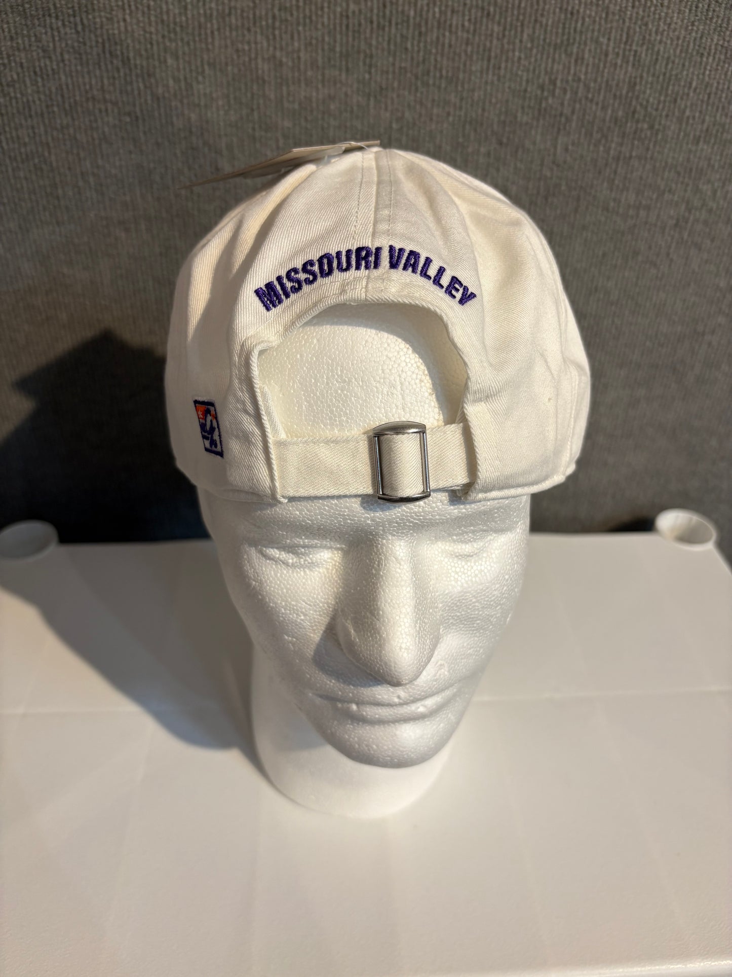 The Game Viking Dad Cap